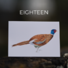 Set of 5 cards, you choose! - Image 19