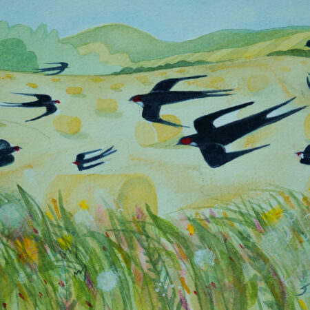 A Swoop Of Swallows