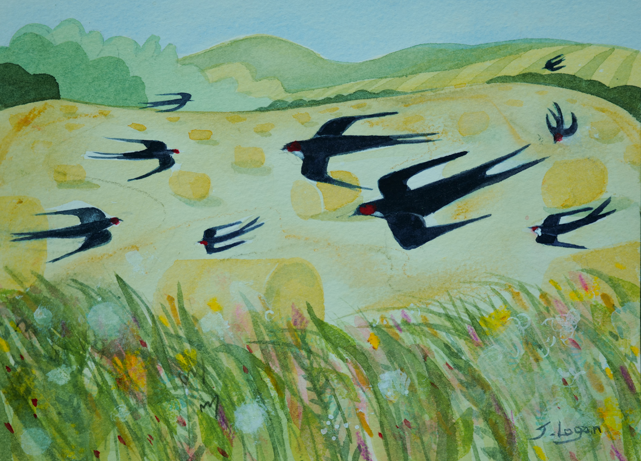 A Swoop Of Swallows
