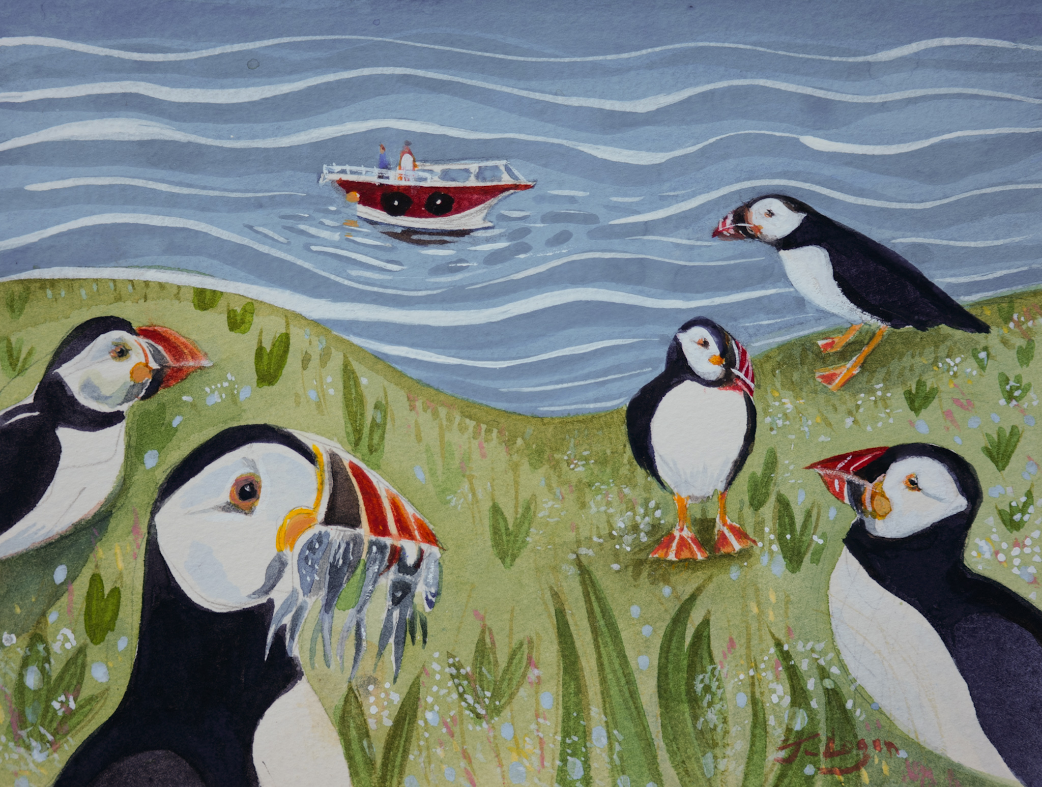 Catch Of The Day On Rathlin