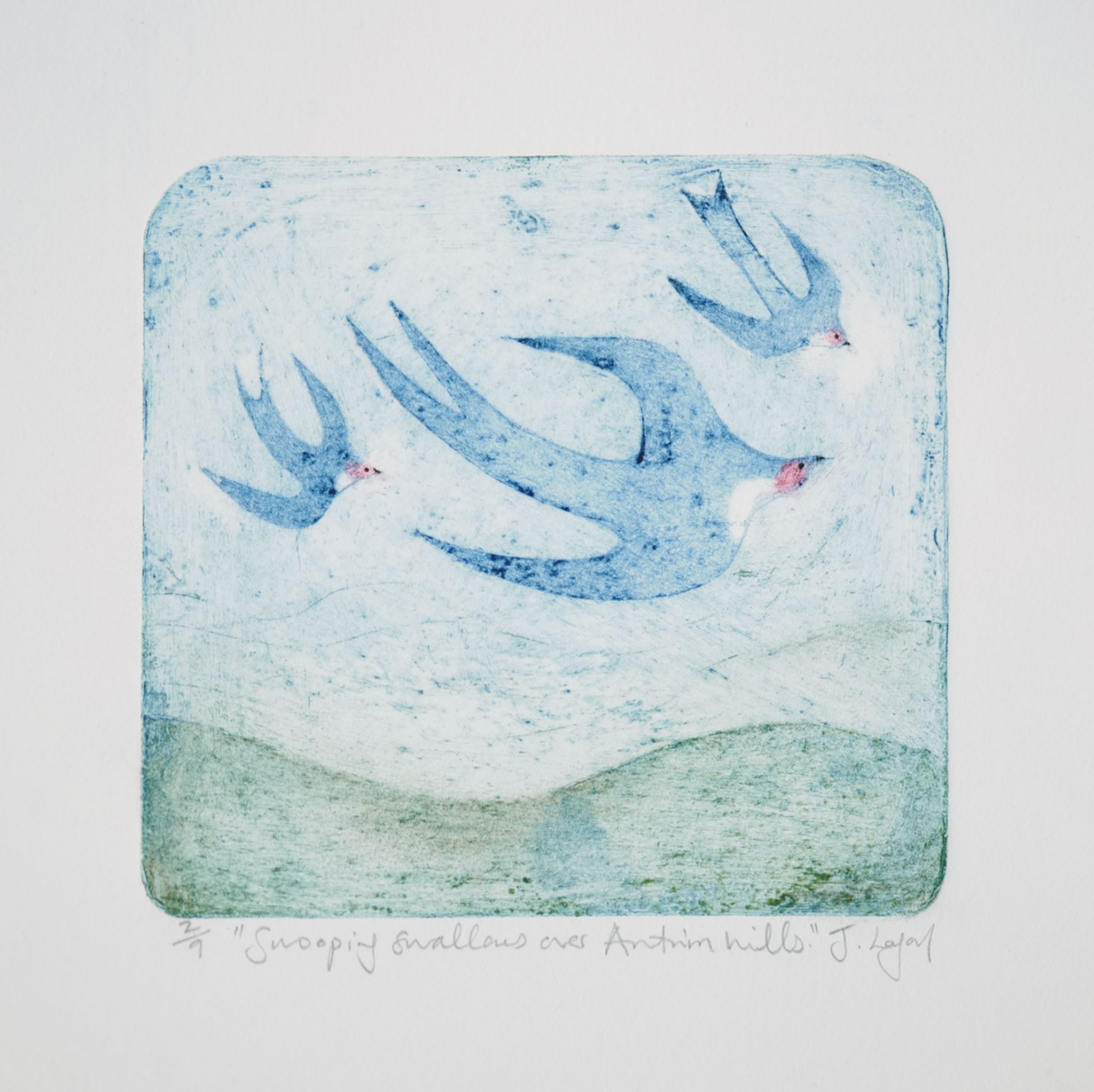 Swooping Swallows Over Antrim Hills, no.2