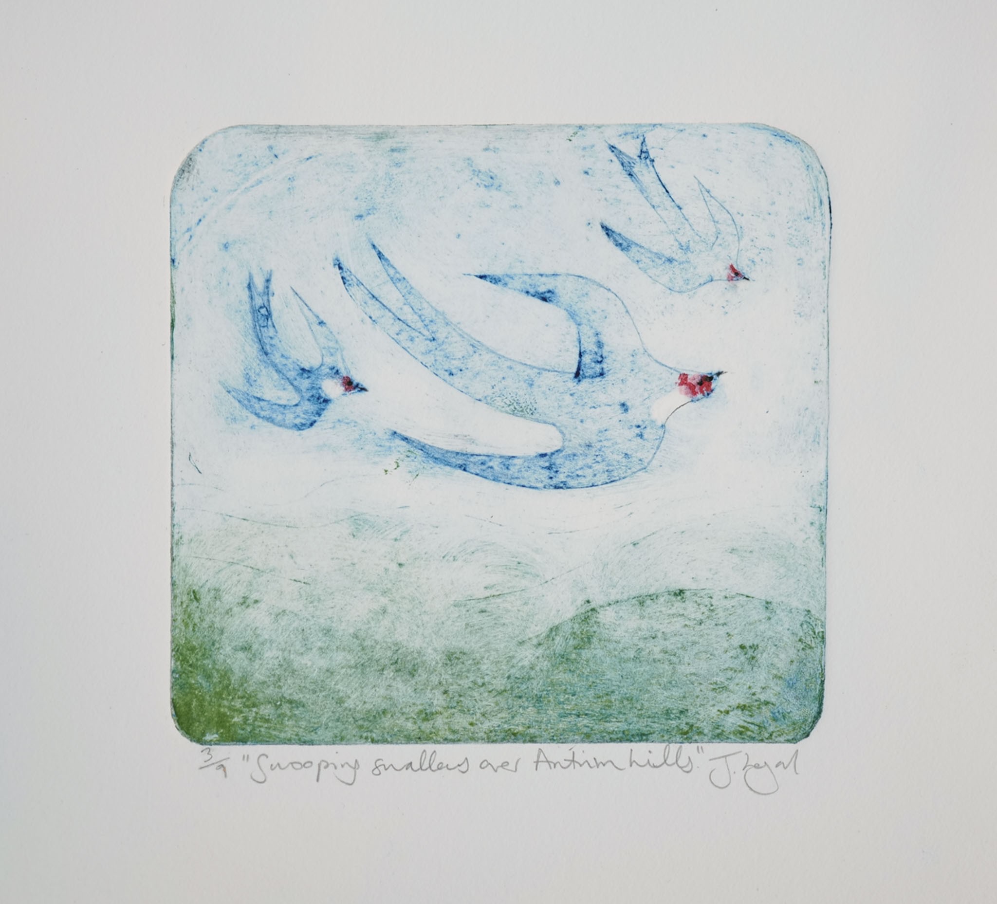 Swooping Swallows Over Antrim Hills, No.3